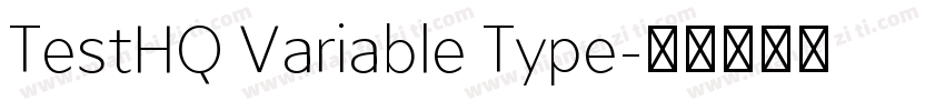 TestHQ Variable Type字体转换